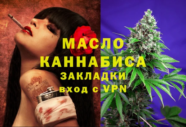 индика Абаза