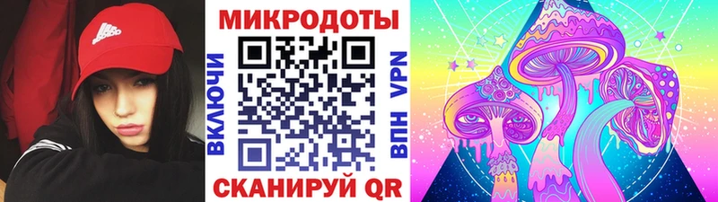 Псилоцибиновые грибы Psilocybe Нюрба